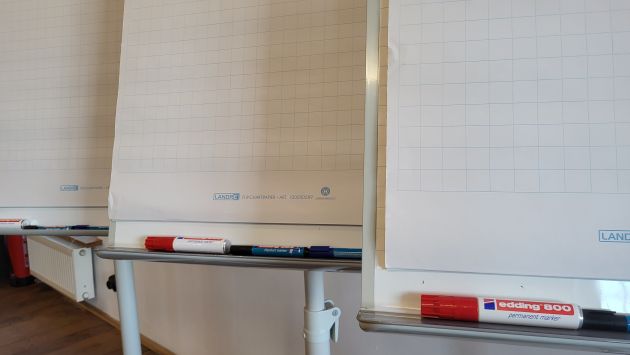 Weinranke am Fenster am Seminarhaus